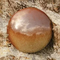 Horizon Dreamer / Polytopeのジャケット