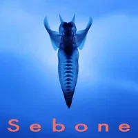 Sebone -脊椎盤-のジャケット