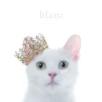 BEST SELECTION "blanc"のジャケット