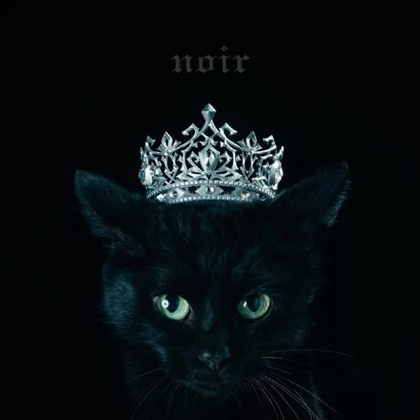 BEST SELECTION "noir"のジャケット