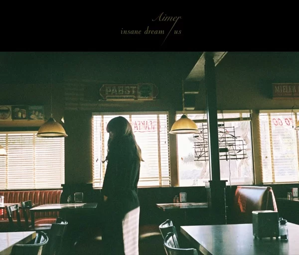 insane dream / usのジャケット