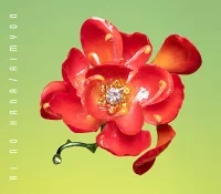 愛の花のジャケット