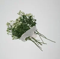 生きていたんだよなのジャケット