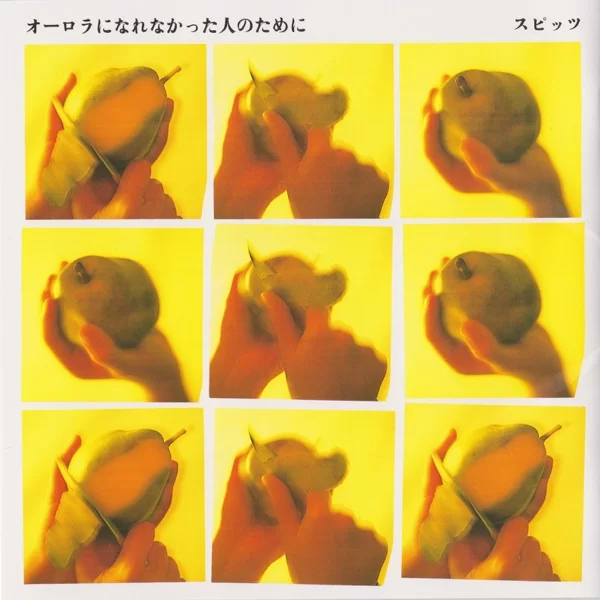 オーロラになれなかった人のためにのジャケット