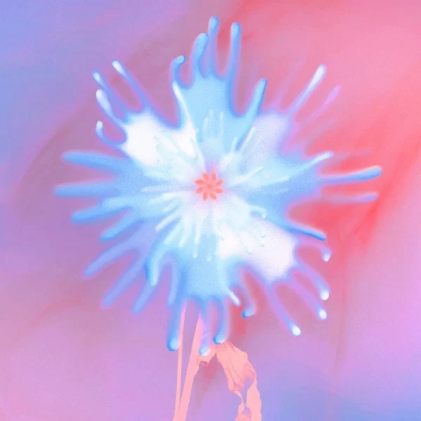 ブレスのジャケット