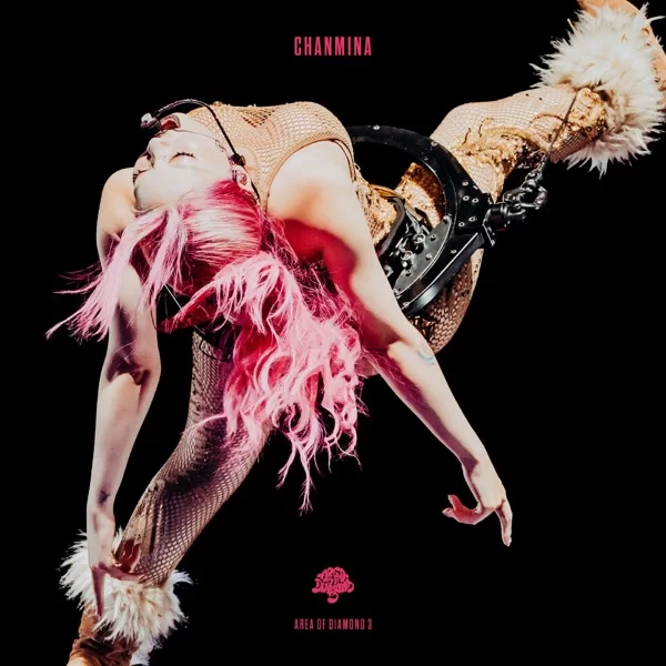AREA OF DIAMOND 3 (Live)のジャケット